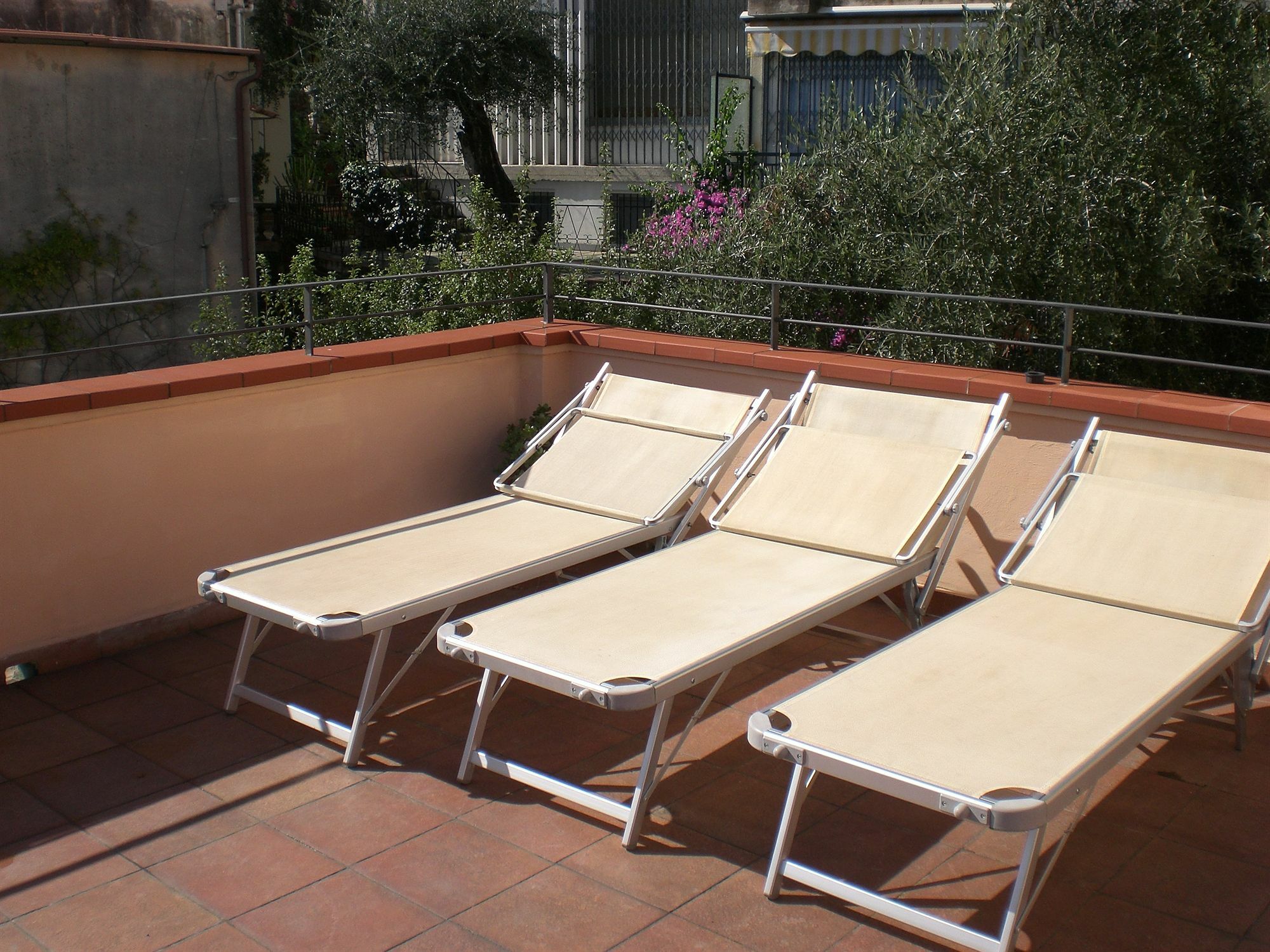 Nettuno 3*